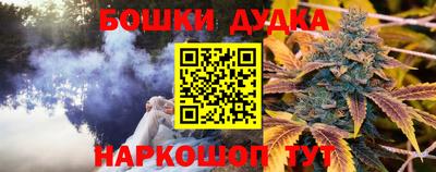 скорость Обь