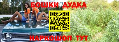 скорость Обь